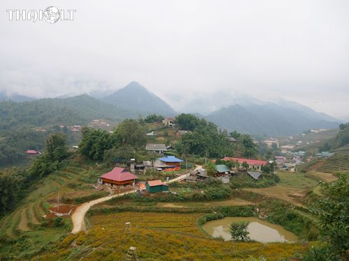 Best Village in Sapa for Visiting &amp; Easy Trekking