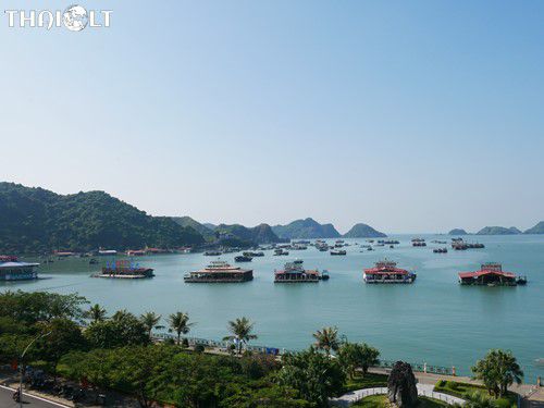 Cat Ba Island Hotels - Where to Stay in Cat Ba?