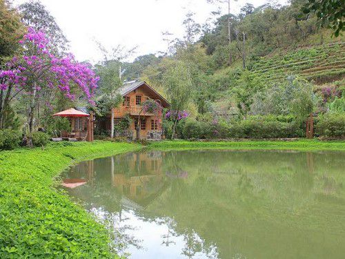 Forest Ghost Inn in Dalat Vietnam
