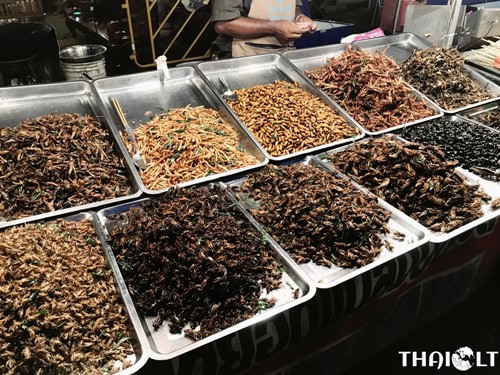 Жареные насекомые в Таиланде - где и как их есть