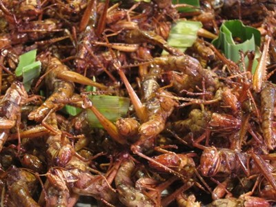 Grasshoppers (Tak Ka Tan) 