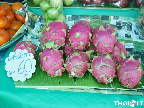 Dragon fruit (Gao Mung Gorn) at Taling Chan Floating Market