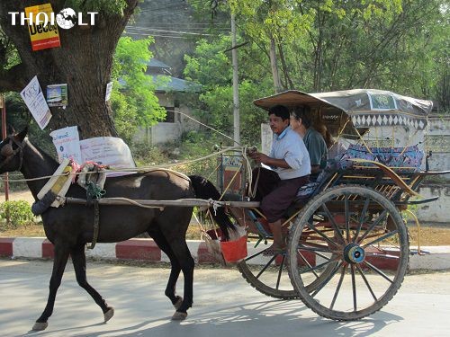 Bagan by Horse Cart