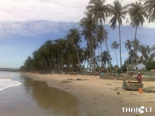 Mui Ne Travel: Ultimate Guide to Mui Ne, Phan Thiet