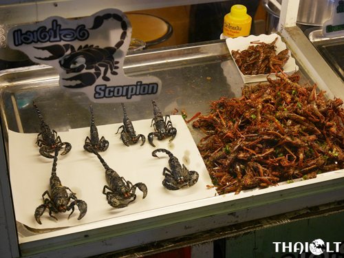 Scorpions (Maeng Pawng) : แมงป่อง