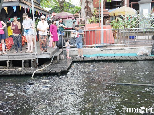 Feeding area at Taling Chan Floating Market 
