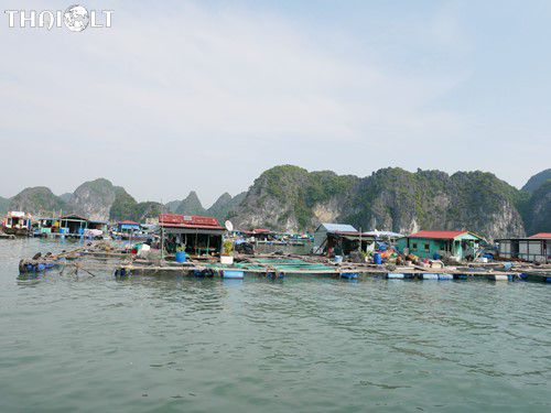 Cat Ba Island, Vietnam